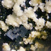 Galena, Ecdemite
