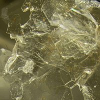 Tainiolite