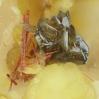 Raspite, Carminite