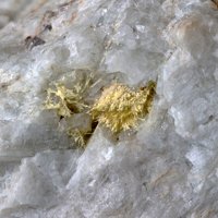 Carlosbarbosaite