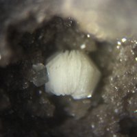 Nacrite, Calcite