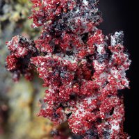 Laphamite, Arsenolite, Unnamed (NH4-Al Fluoride)