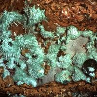 Agardite-(La), Adamite, Smithsonite