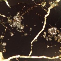 Cattierite, Molybdenite, Muscovite