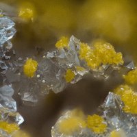 Gartrellite