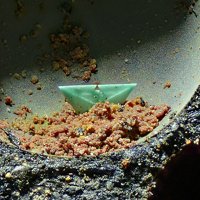 Nantokite, Cuprite