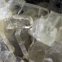 Capranicaite