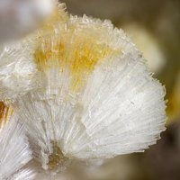 Dachiardite-Ca