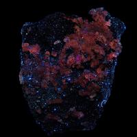 Caracolite