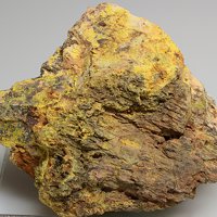 Carnotite, Petrified Wood