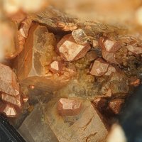 Dalyite