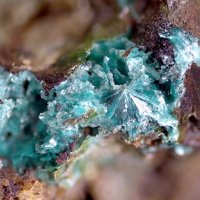Tangdanite, Ankerite