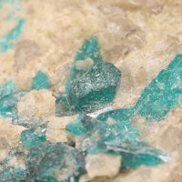 Salesite