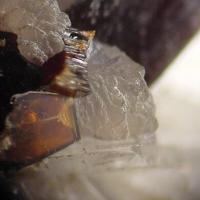 Calcioburbankite, Kupletskite