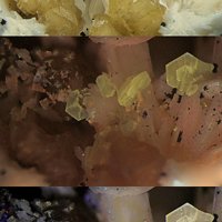 Sabinaite, Horváthite-(Y), Albite