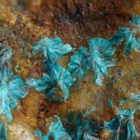 Tangdanite