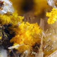 Rabejacite, Gypsum
