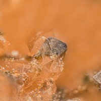 Mackayite
