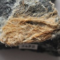 Carlosturanite, Chrysotile