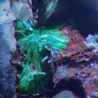 Ulrichite