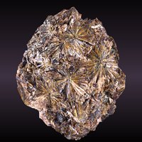 Lamprophyllite