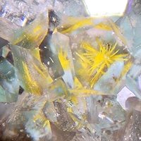 Macquartite, Quartz