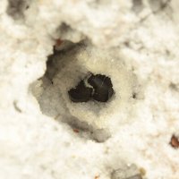 Osumilite