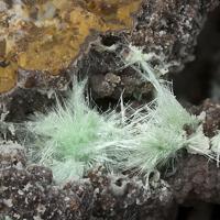 Agardite-(Y)