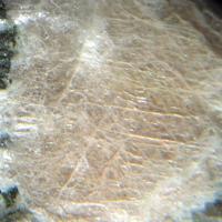 Baratovite
