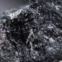 Nacareniobsite-(Ce)