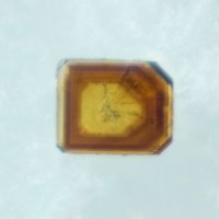 Nabokoite, Alarsite