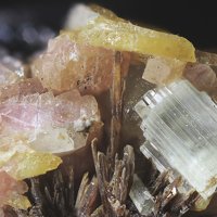 Ganophyllite, Marsturite, Willemite