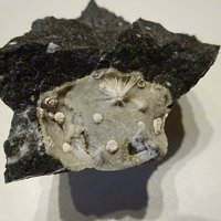Tacharanite