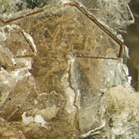 Tainiolite