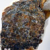 Barytolamprophyllite