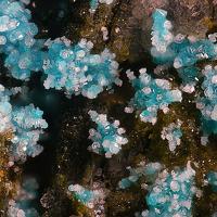 Caracolite, Mahnertite