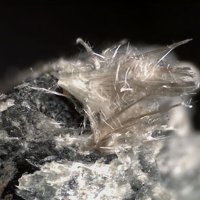 Carlosturanite