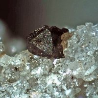 Rambergite