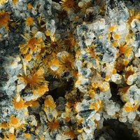 Earlshannonite