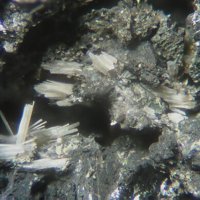 Lanarkite