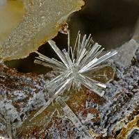 Cannonite, Quartz