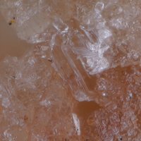Kalicinite