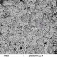 Sabelliite