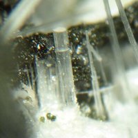 Kaliophilite