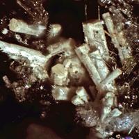 Calcioburbankite, Petersenite-(Ce)