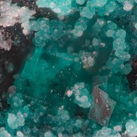 Ramsbeckite