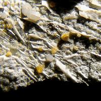 Cafetite, Kassite, Calcite