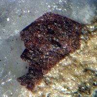Gamagarite