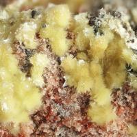 Bassetite