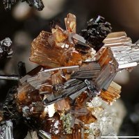 Jahnsite-(CaMnMg)